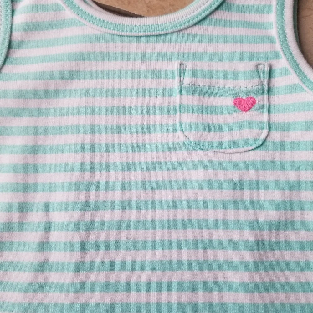 Carter's 2 Piece Outfit 9 Months NWT